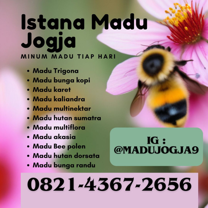 Perbandingan Madu dan Gula Pasir Sebagai Pemanis Makanan